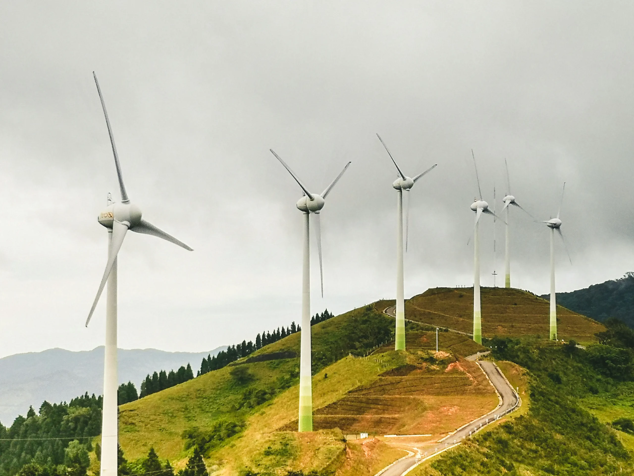 Global warming causes and solutions mid-article image