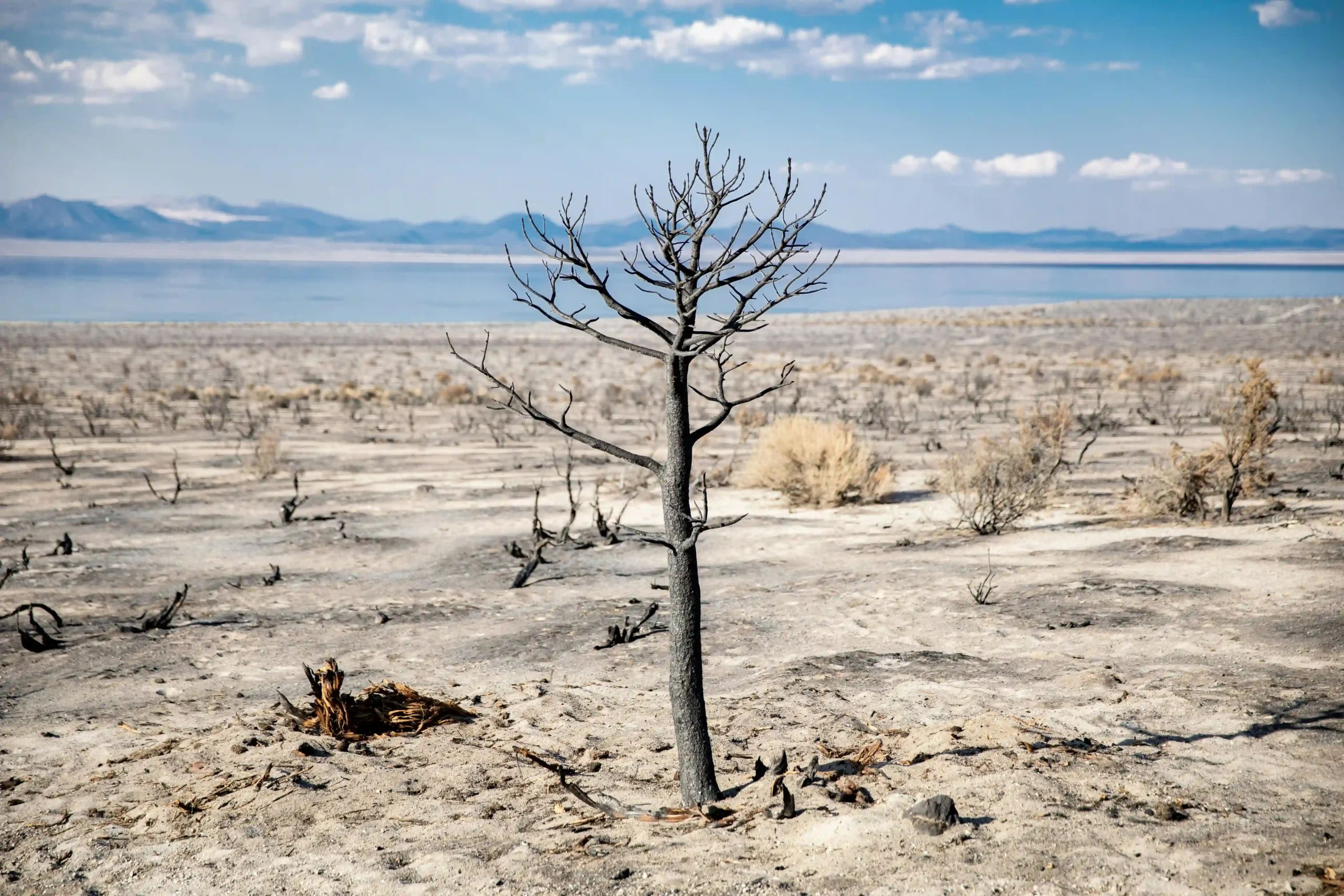 Career opportunities in science fields mid-article image